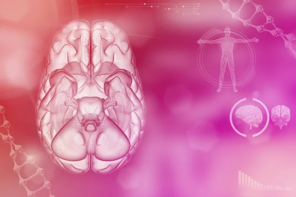 Ανθρώπινος Εγκέφαλος Νευρολογική Έρευνα Έννοια Λεπτομερή Υψηλής Τεχνολογίας Υφή Ιατρική — Φωτογραφία Αρχείου