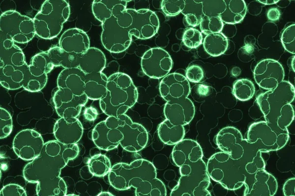 Bellissimo Disegno Verde Enorme Quantità Bio Monadiformi Realizzati Digitalmente Texture — Foto Stock
