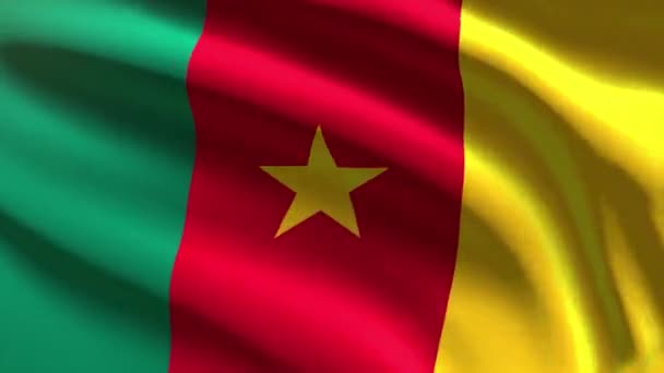 Kamerunská Slavnostní Vlajka Animace Smyčky — Stock video
