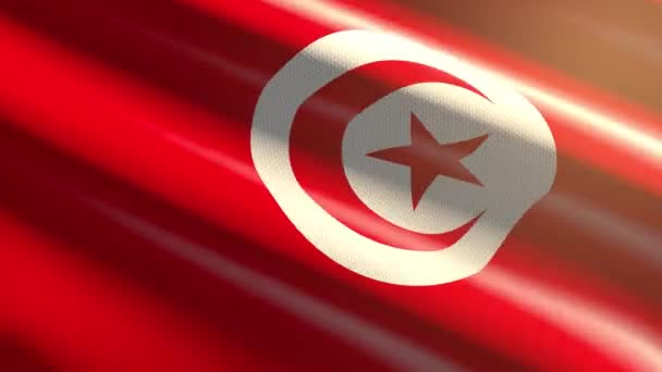 Tunisia Shiny Flag Loop Animation — Stock Video