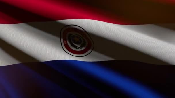 Bandeira Paraguai Animação Loop — Vídeo de Stock