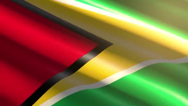 Guyana Glanzende Vlag Lus Animatie — Stockvideo