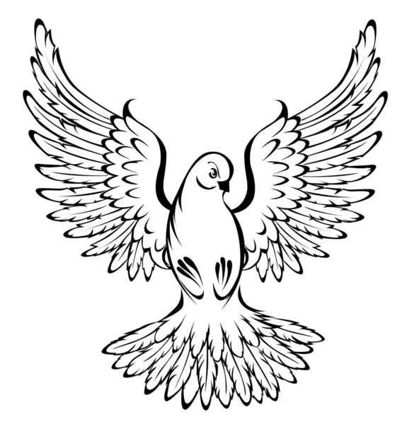 Fliegende Taube — Stockvektor