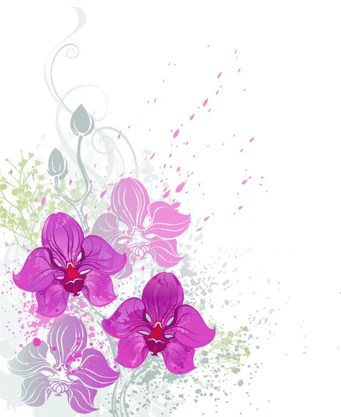 Orchidée rose — Image vectorielle