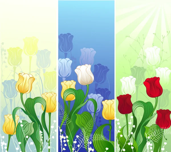 Bannière avec tulipes — Image vectorielle