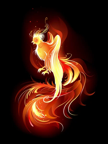 Fiery bird — Stock Vector