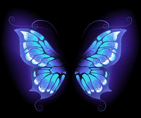 Glowing butterfly wings — Stock Vector