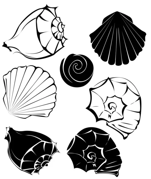 Silhouette of sea shells — Stock Vector