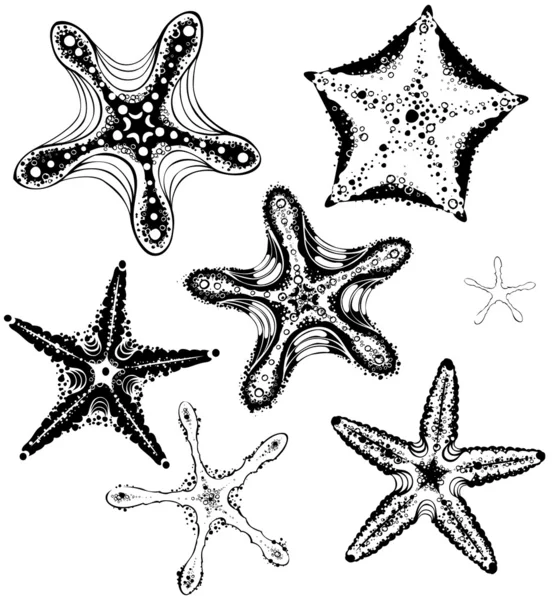 Sziluettjét starfishes — Stock Vector