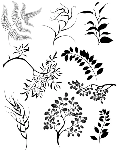 Stylized silhouettes of branches and decorative plants — Stock Vector