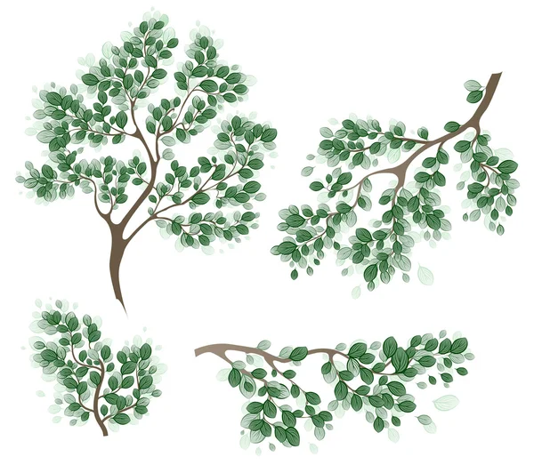 Branches vertes — Image vectorielle