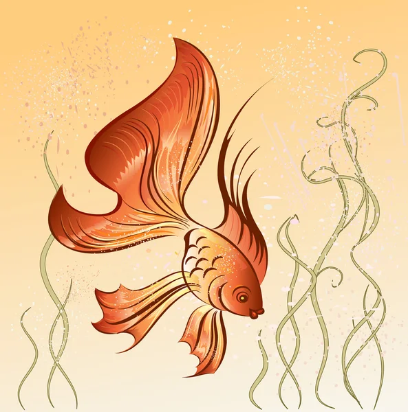 ปลาทองตะวันออก — ภาพเวกเตอร์สต็อก