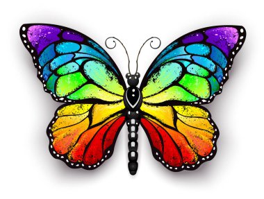 Realistic monarch butterfly in all the colors of the rainbow on a white background. Rainbow butterfly clipart