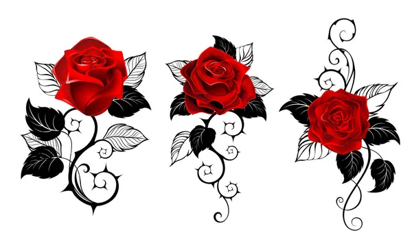 Three Artistically Painted Red Roses Black Spiny Stems Black Leaves — Stock Vector