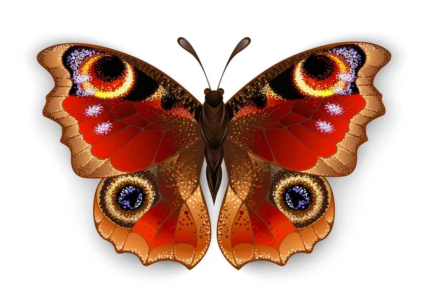 Rojo Realista Pintado Artísticamente Ojo Pavo Real Mariposa Sobre Fondo — Vector de stock