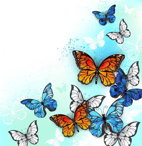 一群蓝色 橙色和白色的现实蝴蝶 背景为白色 有绿色和青绿色斑点 — 图库矢量图片