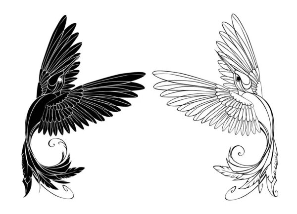 Colibríes Negros Monocromáticos Sobre Fondo Blanco Aislado — Vector de stock