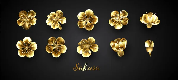 Set Van Gouden Sakura Bloemen Ontwerp Van Realistische Volumineuze Metaal — Stockvector