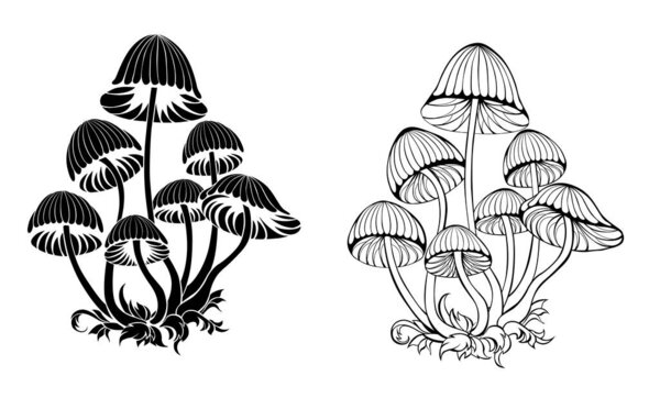 Two groups of artistically drawn, contoured, black, isolated, silhouette toadstools on a white background. Hallucinogenic mushrooms.