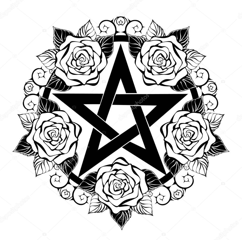 Black pentagram with contour, artistically drawn roses with leaves and thorny stem on white background. Wiccan symbol.