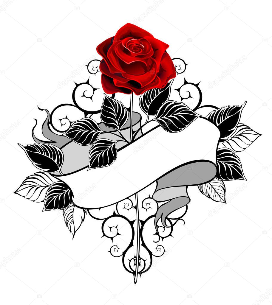 Straight rose with red bud, stem, black leaves, decorated with ribbon in tattoo style on white background.
