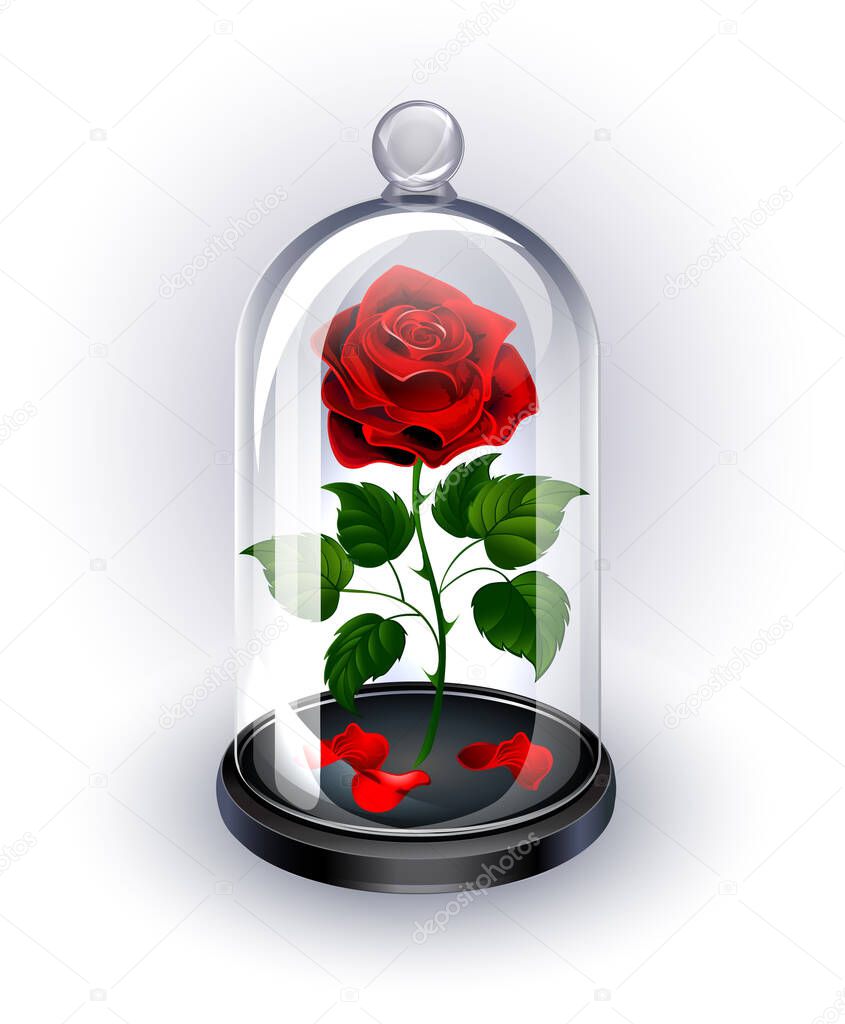 Red, eternal rose under sparkling crystal dome on white background
