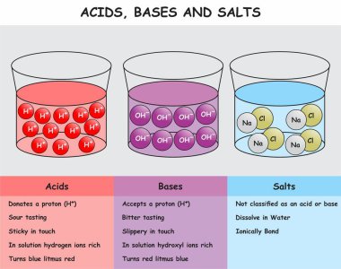 Acids Taban ve Tuz bilgi diyagramı karşılaştırma tablosu ile çözümü ve kimya bilimi eğitim vektörü için temel özelliklerini gösterir