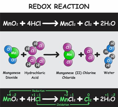 Redox Reaction Infographic Diyagram, örneğin manganez dioksit hidroklorik asitle tepkimeye girerek kimya bilimi eğitim afişi taşıyıcısı için manganez klorür klorür ve su üretiyor.