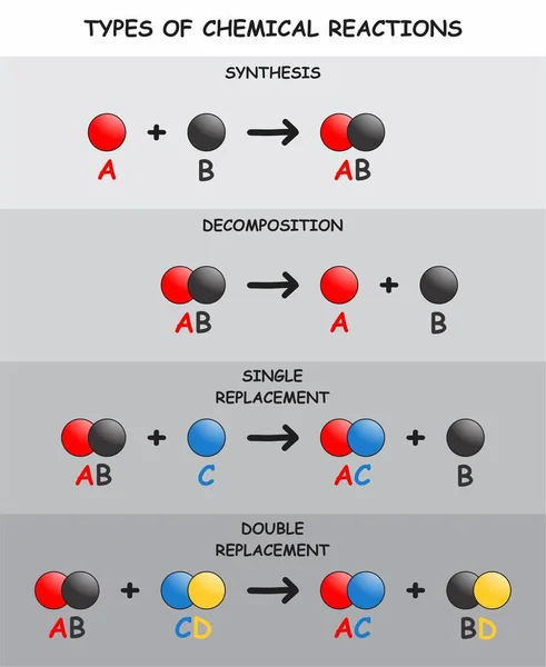 Tipos Reacciones Químicas Diagrama Infográfico Incluyendo Descomposición Síntesis Simple Doble — Vector de stock