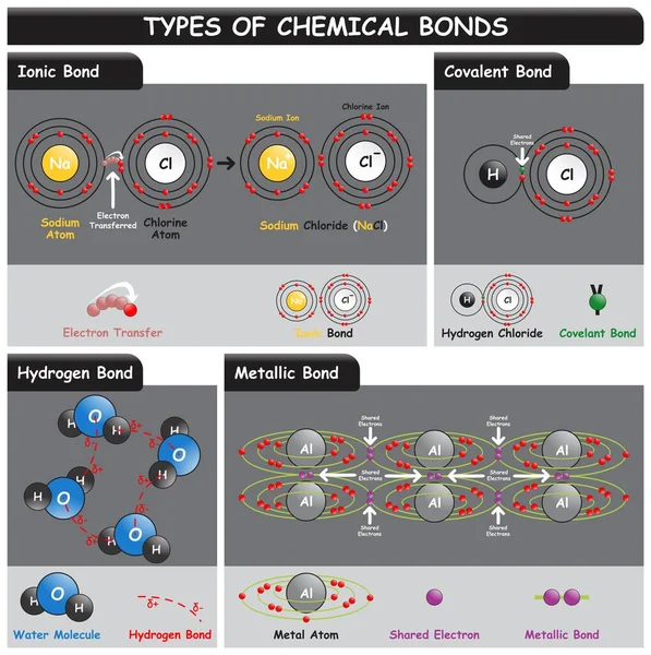 Arten Chemischer Bindungen Infografisches Diagramm Mit Ionischen Kovalenten Wasserstoffmetallbindungen Beispiele — Stockvektor