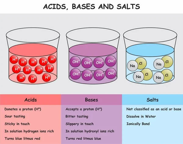 Acids Taban ve Tuz bilgi diyagramı karşılaştırma tablosu ile çözümü ve kimya bilimi eğitim vektörü için temel özelliklerini gösterir
