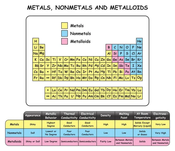 Infographic Diagram Showing Location Periodic Table Elements Comparison Table Properties — стоковый вектор