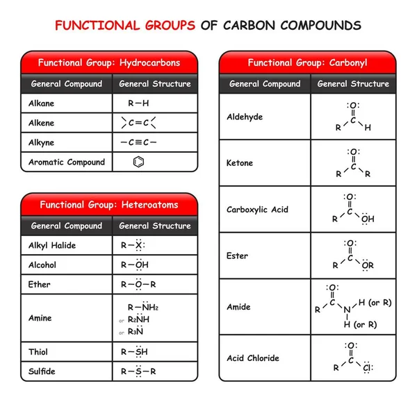 Grupos Funcionales Compuestos Carbono Diagrama Infográfico Incluyendo Hidrocarburos Heteroátomos Carbonilo — Vector de stock