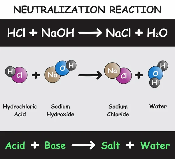 Neutralización Reacción Infografía Diagrama Con Ejemplo Ácido Clorhídrico Reaccionando Con — Vector de stock