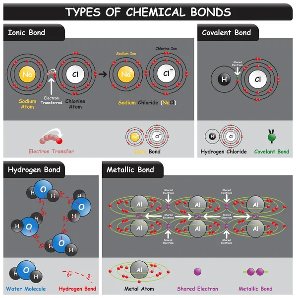 Типы Химических Связей Инфографическая Диаграмма Включая Ионные Ковалентные Водород Металлические Стоковая Иллюстрация