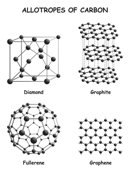 Allotropes Carbon Infographic Diagram Showing Different Forms Including Diamond Graphite Stock Illustration