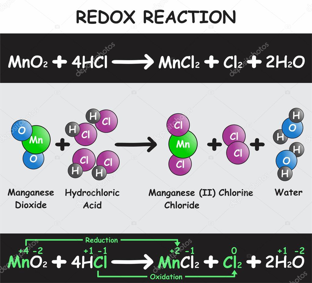 Redox Reaction Infographic Diagram with example of manganese dioxide reacting with hydrochloric acid producing manganese chloride chlorine and water for chemistry science education poster vector