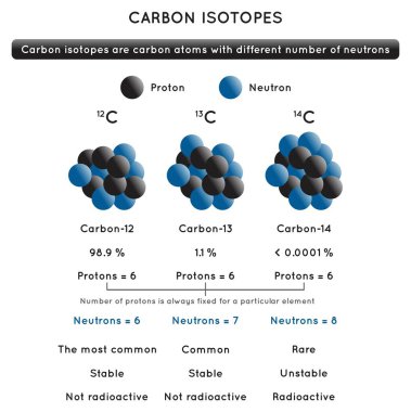 Karbon İzotopları Infographic Diyagramı, kimya bilimi eğitim poster vektörü için ne kadar yaygın ve istikrarlı ve radyoaktif olduklarını gösteren proton ve nötron çekirdek sayıları karşılaştırmasını gösterir
