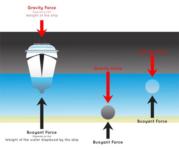 Buoyant Force Infographic Diagram showing how ship float on water while iron mass sink and another object hover and relation with gravity force depending on weight for physics science education vector