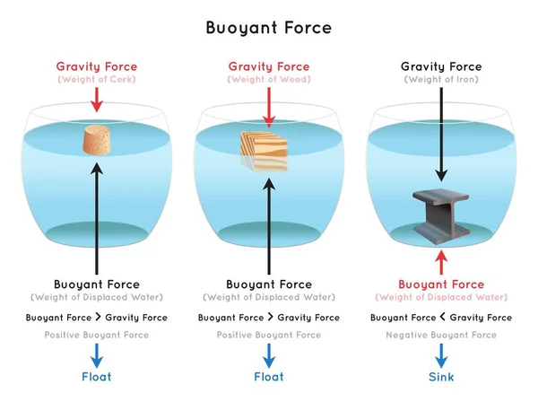 Fuerza Flotante Ejemplos Diagrama Infográfico Madera Corcho Hierro Que Muestra — Vector de stock