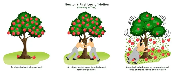 Newton First Law Motion Infographic Diagramm Beispiel Schütteln Apfelbaum Ruhe — Stockvektor