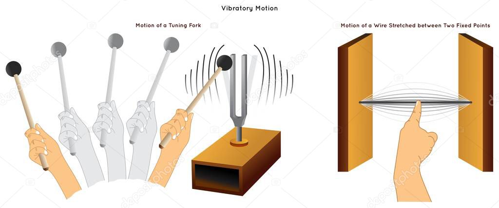 Vibratory Motion Infographic Diagram with example of tines of tuning fork and movement of stretched wire between two fixed points for physics science education vector physical vibration path of waves