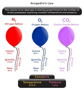 Avogadro Yasası Bilgisel Diyagramı örnek olarak nitrojen oksijen karbondioksit balon hacmi molekül nicelik kütle sabit sıcaklık basıncı atom madde fizik bilim eğitim vektörü