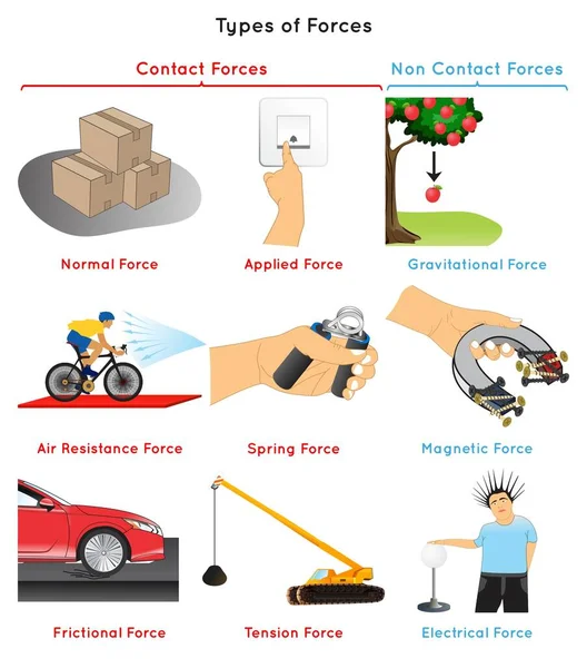 Tipos Fuerzas Infografía Diagrama Normal Aplicado Resistencia Aire Tensión Fricción — Vector de stock