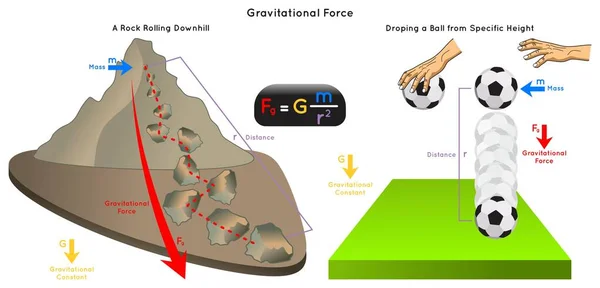 重力情報学図例岩石が特定の高さからボールを落下させ 質量距離重力定数を示す数学方程式物理学教育ベクトル — ストックベクタ