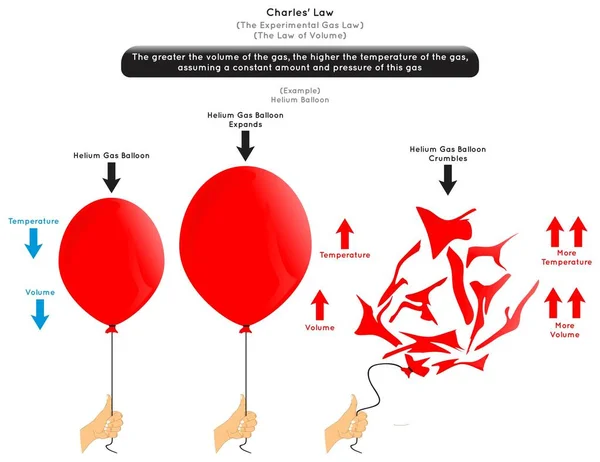 Charles Law Infographic Diagram Příklad Helium Balón Když Objem Zvýšení — Stockový vektor