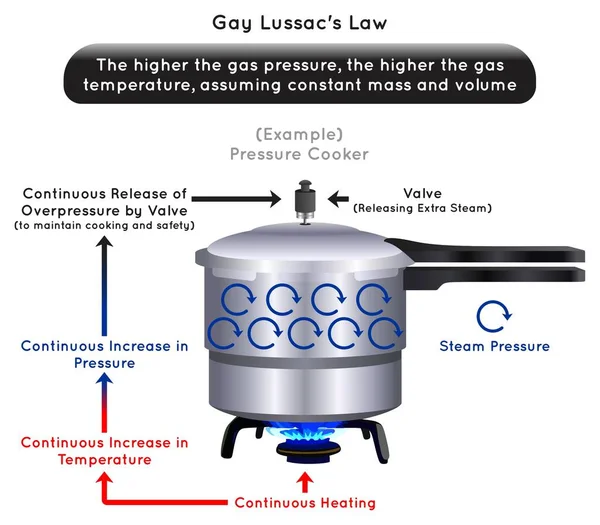 Legge Gay Lussac Illustrazione Infografica Esempio Pentola Pressione Calore Continuo — Vettoriale Stock