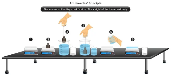 Archimedes Principe Expérience Infographie Exemple Diagramme Poids Échelle Numérique Immergé — Image vectorielle