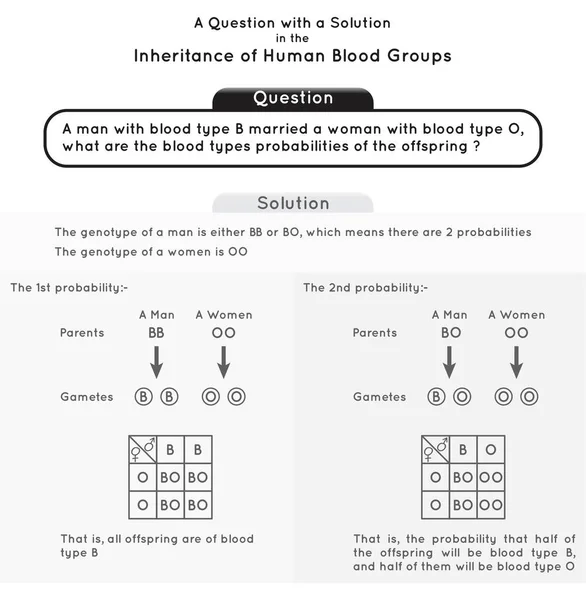 Frage Und Lösung Vererbung Menschlicher Blutgruppe Infografik Diagramm Genotyp Phänotyp — Stockvektor