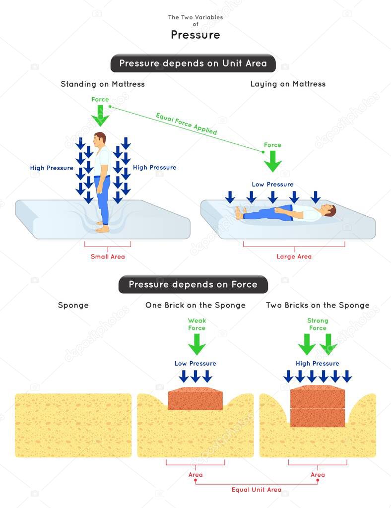 The Two Variables of Pressure Infographic Diagram unit area example is man standing and laying on mattress force example is placing one and two brick on the sponge physics science education vector